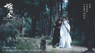 𝐁𝐄𝐒𝐓 𝐎𝐒𝐓 ♡ 人生若只如初见 - 林海 If Life Was Just Like When We First Met《陈情令》The Untamed