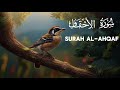 46 Quran Коран Surah Al Ahqaf 10 Times الأحقاف Сура Аль Ахкаф 10 раз Omarhishamalarabi 46 Quran Коран Surah Al Ahqaf 10 Times الأحقاف Сура Аль Ахкаф 10 раз Omarhishamalarabi