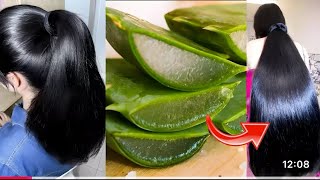 सुबह बाल धोने से पहले Aloe Vera इस तरह लगालो बाल इतने लंबे, घने, सिल्की, शाइनी हो जाएंगे Hair Growth