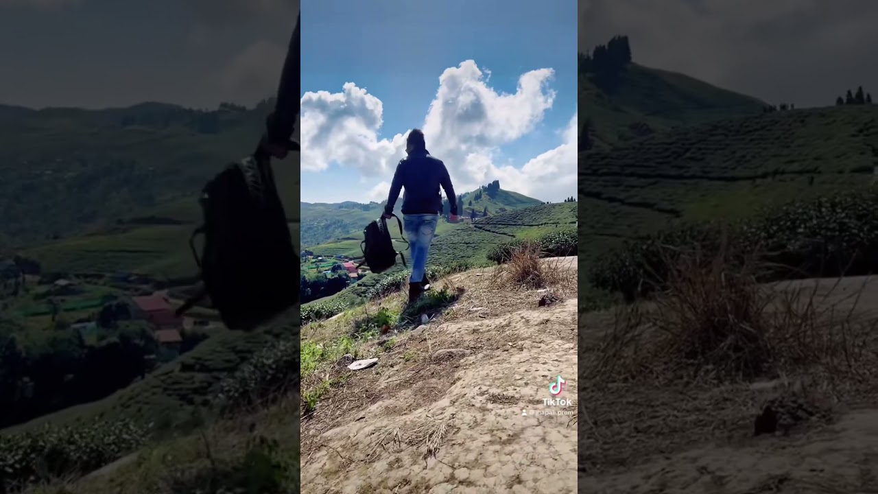 Carrera Men's Ca4005/S Wrap Sunglasses 