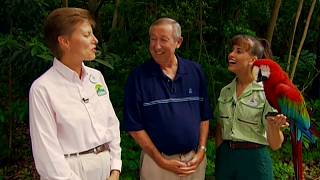 True-Life Adventures Vol 1 Bonus: Backstage with Roy Disney at Disneys Animal Kingdom: Birds