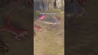 What are our favorite features in Coridden?