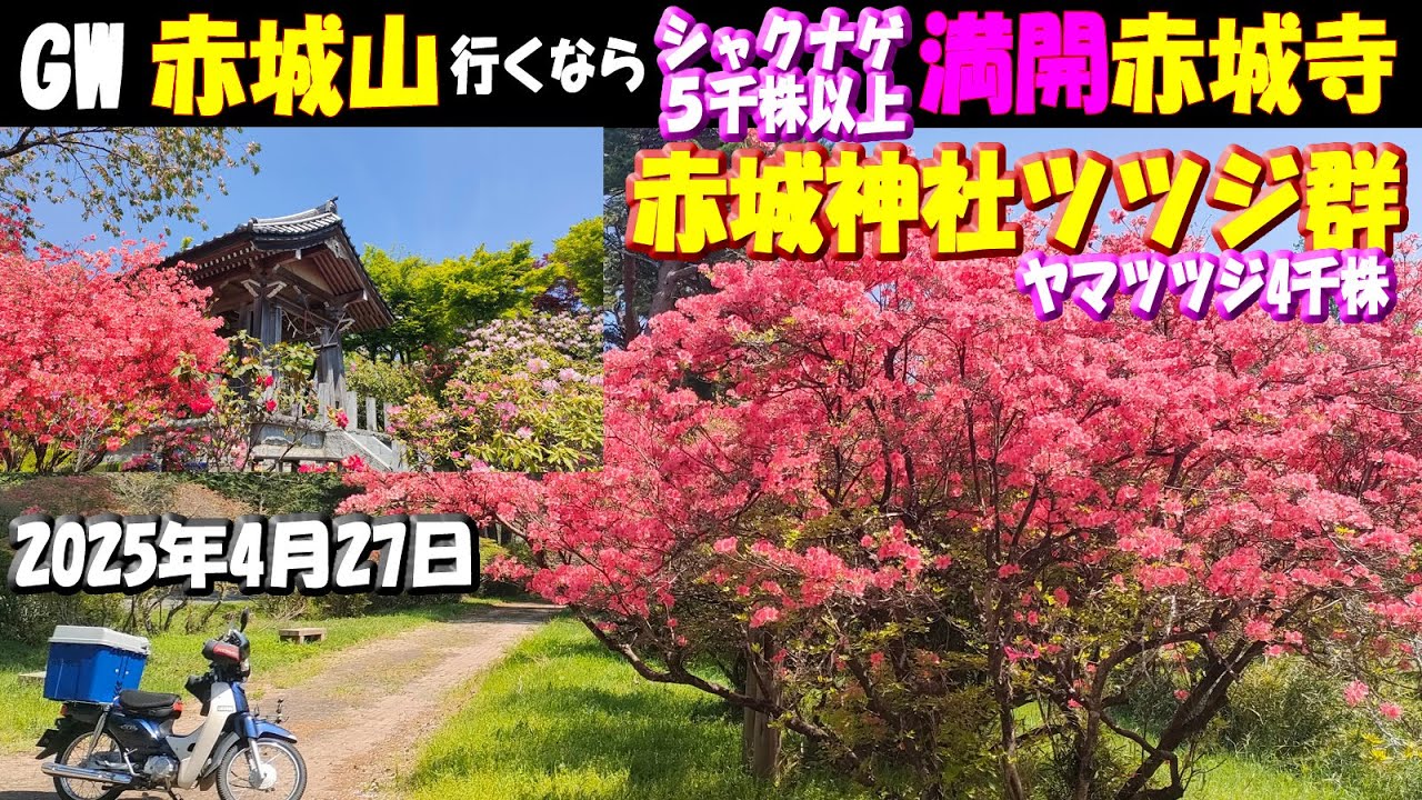 If you're heading to Mount Akagi during the Golden Week holidays