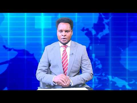 Warka Universal TV 08 10 2026