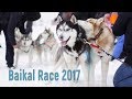 Гонка на собачьих упряжках на Байкале. A sled dog race "BAIKAL RACE-2017" at Baikal