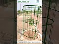 world longest cycle track #dholera #investment #gujrat