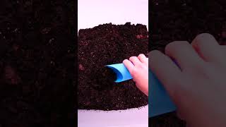 Most Orchid potting mixes are UNSUITABLE for your Moth Orchid! 🙅🏻‍♀️