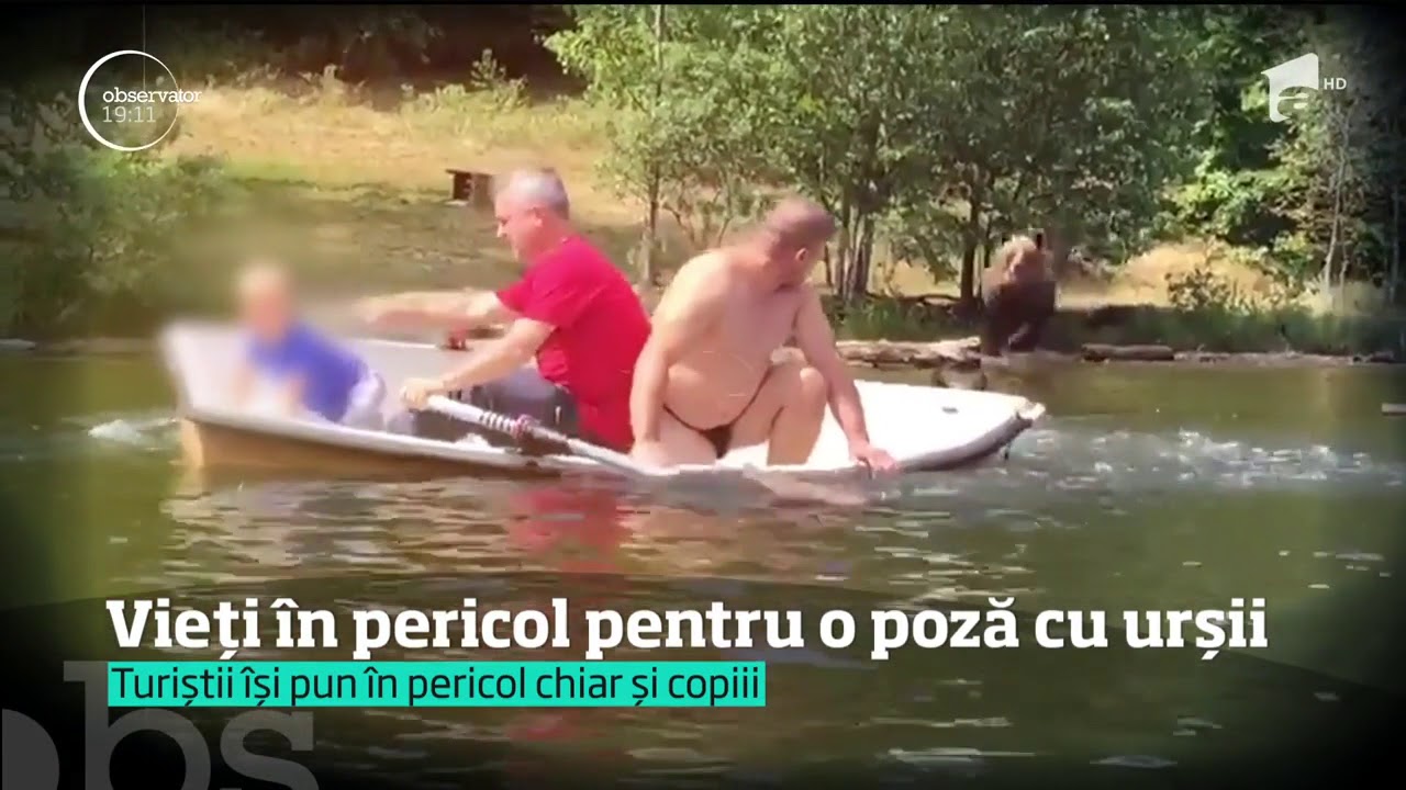 Lacul Sfânta Ana se umple de turişti care vin să vadă urşii! Şi se apropie, chiar şi cu copii