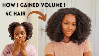 How to add VOLUME &amp; LENGTH to thin 4C natural hair to get BIG curly fro ft Curlsqueen