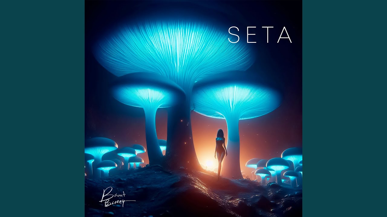 Watch Seta on YouTube Watch Seta on YouTube