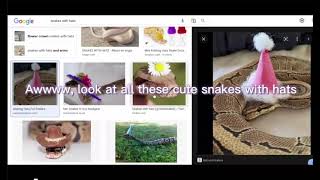 Snakes with Hats @neonightmaress