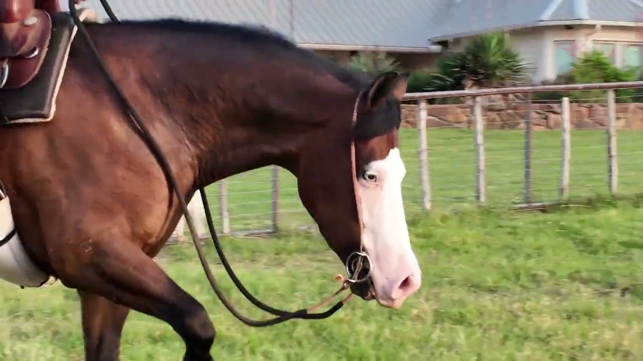 We Know You Can’t Get Enough of Blue Thunder… Let’s Ride!! 🔥