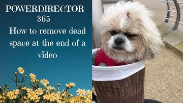 PowerDirector 365 How to remove unwanted dead space at the end of a video
