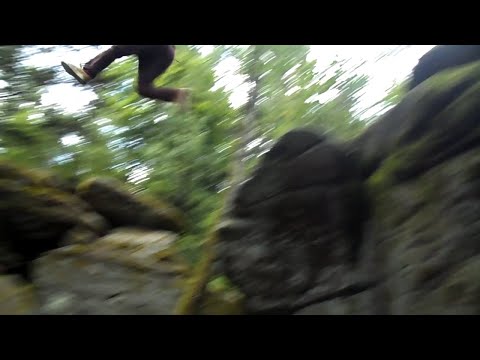 Parkour im magischen Wald
