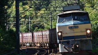 JR貨物 貨物列車 5094レ EF66 33 三島~函南間