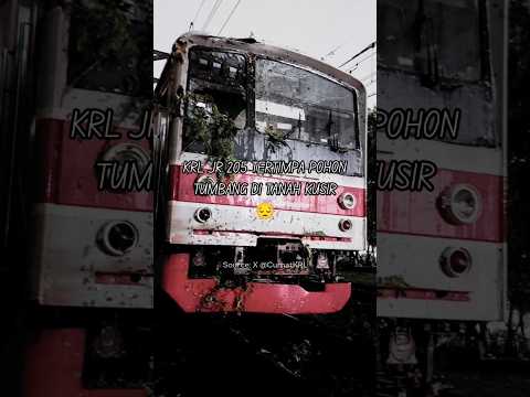 KRL JR 205 tertimpa pohon tumbang di Tanah Kusir 😱😰#krlcommuterline #commuterline #train
