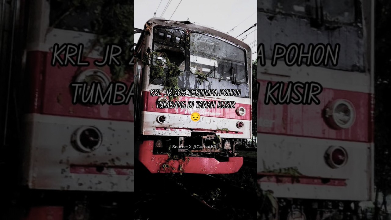 KRL JR 205 tertimpa pohon tumbang di Tanah Kusir 😱😰