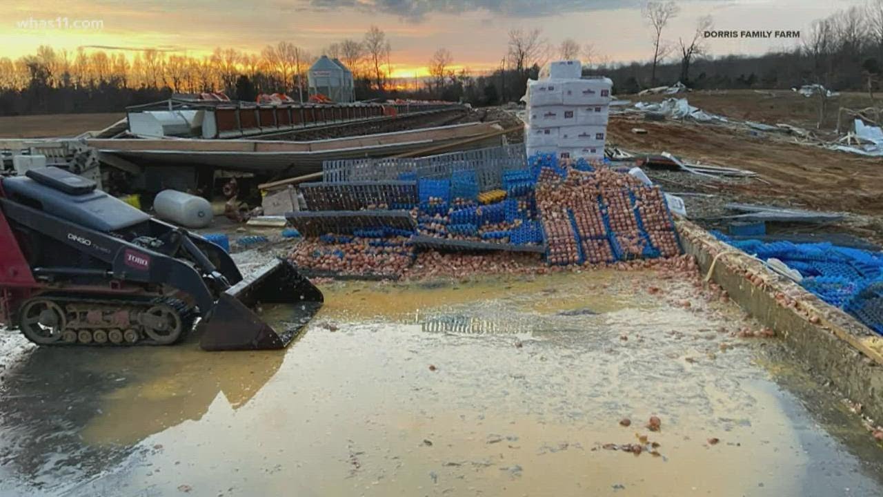 Family farm loses 40,000 chickens after barns destroyed in Kentucky ...