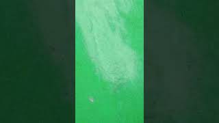 Download Lagu 29 November 2025 MP3