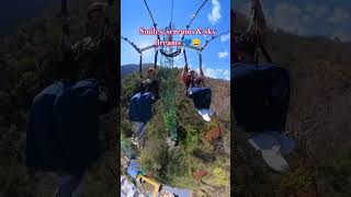 Flying high, feeling unstoppable #rishikesh #adventure #giantswing #fearless #ytshorts #yt #youtube