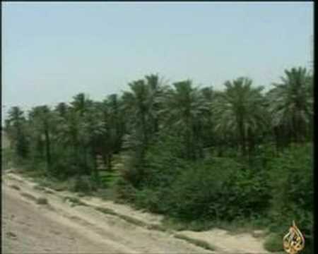 الزراعة في العراق