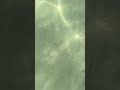 11. August 2023