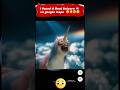 I Found A Real Unicorn рџ On Google Maps Googleearth Tranding Yt Ytshorts Viralshorts I Found A Real Unicorn рџ On Google Maps Googleearth Tranding Yt Ytshorts Viralshorts