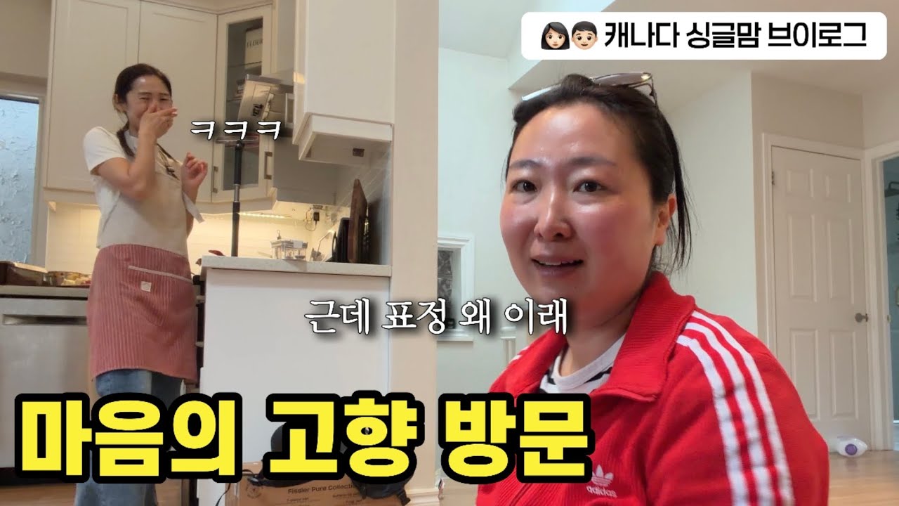 이틀 연속 친구 만나는 내향인 브이로그
