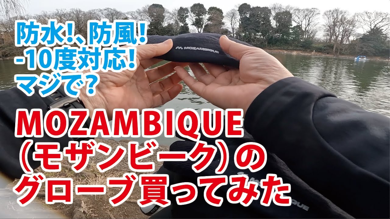 動画更新】モザンビークの冬用手袋インプレ : 貧乏デザイナーの作業報告書