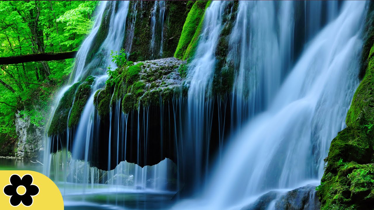 71 Background Music Nature Sounds free Download My