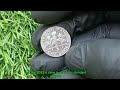 BIG Money in 2025 Dimes Worth $50,000?
