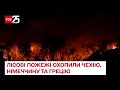 Неприборкана стихія! Потужні лісові пожежі накоїли лиха на кордоні Чехії та Німеччини