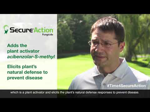 Secure Action Fungicide