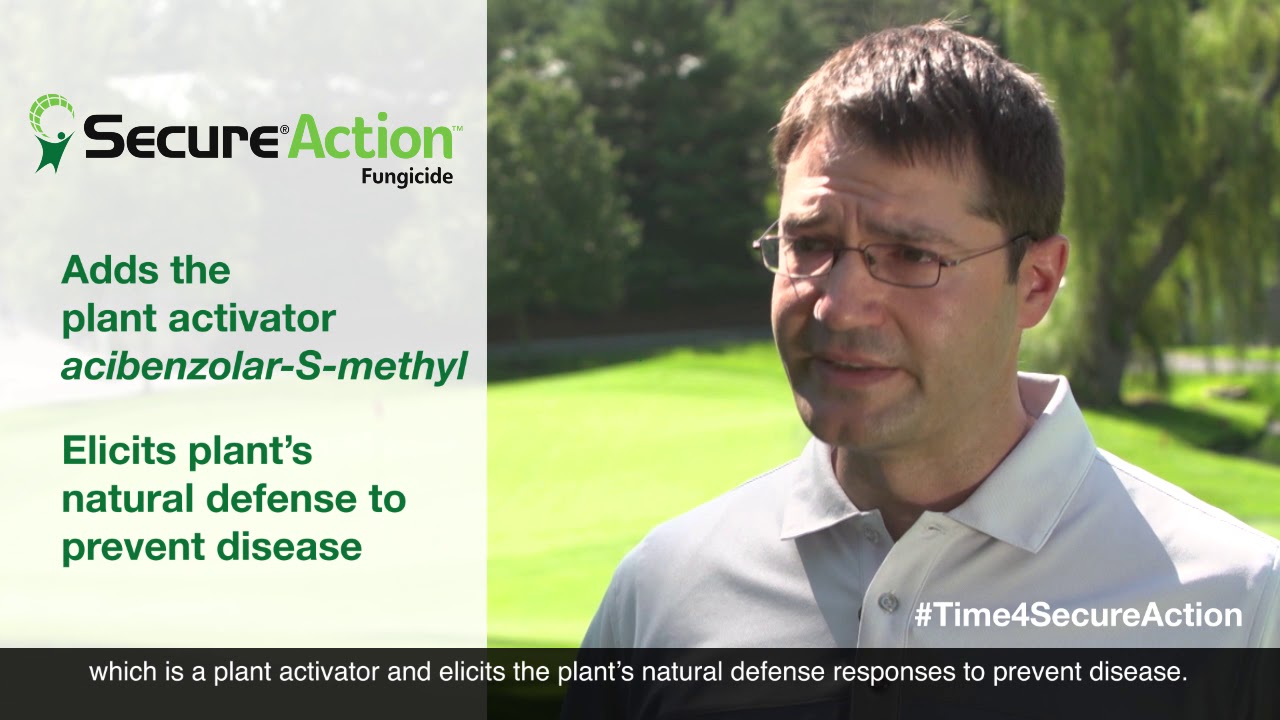 Secure Action Fungicide Provides Enhanced Dollar Spot Control YouTube