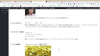 Cocoon 設定 ‹ がんばれ大前どん — WordPress Google Chrome 2018 11 16 14 16 58