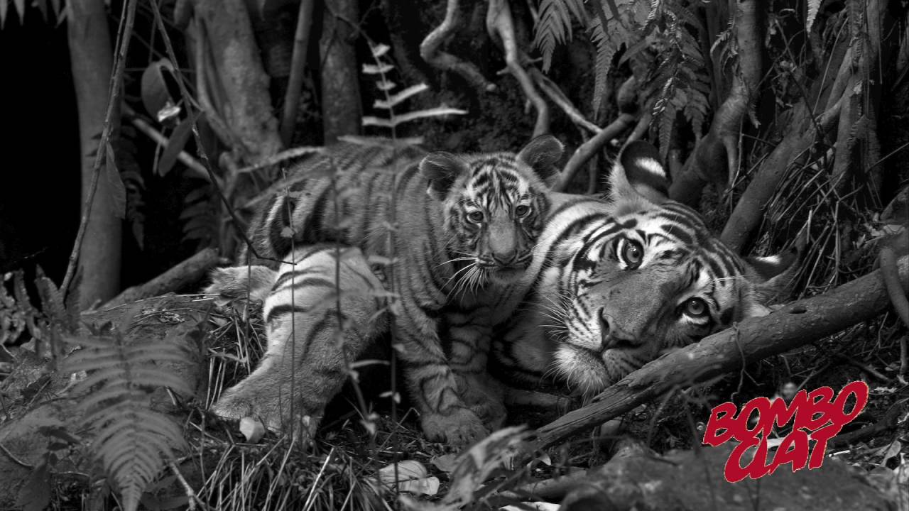 Thornato ft KarenBe - Kos Kazah