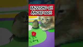Il gattino + l'uccellino = quando si dice "due cuori e una capanna"  🐱🐦