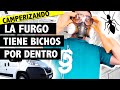 🚐 La FURGONETA TIENE BICHOS 😖 + SE NOS ACERCA UN AMIGUETE Vlog