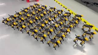Pilot production of Bittle Robots | PetoiCamp