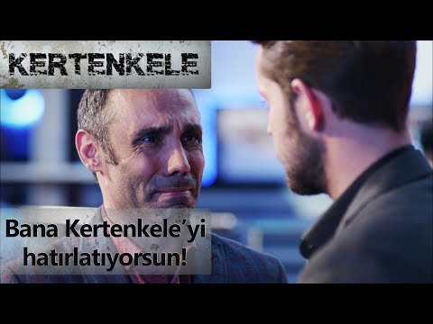 Bana Kertenkeleyi hatırlatıyorsun! - Kertenkele