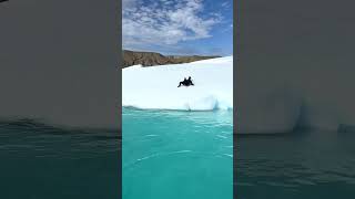 Jumping off an Iceberg in Antarctica - true polar plunge