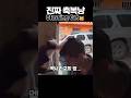 사람들이 줄 서서 축복 받는 고양이 People Line Up For This Cat’s Blessing