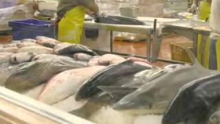 Groomers Seafood, San Antonio Tx