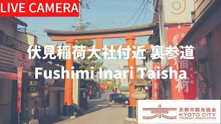 伏見稲荷大社付近 裏参道 のライブ映像