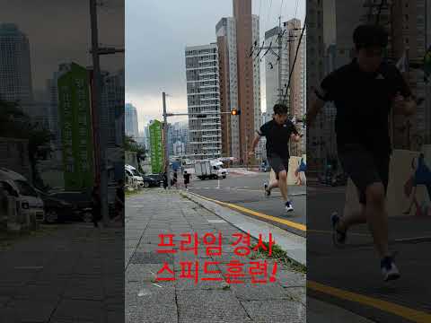 프라임스포츠 아카데미 서면점