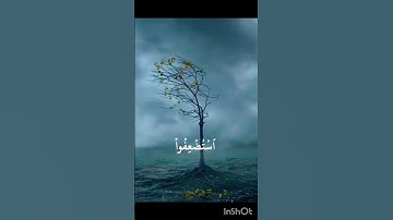 وَ نُرِیدُ أَنْ نَمُنَّ عَلَى الَّذِینَ #تلاوة #quran #صلوا_على_النبي