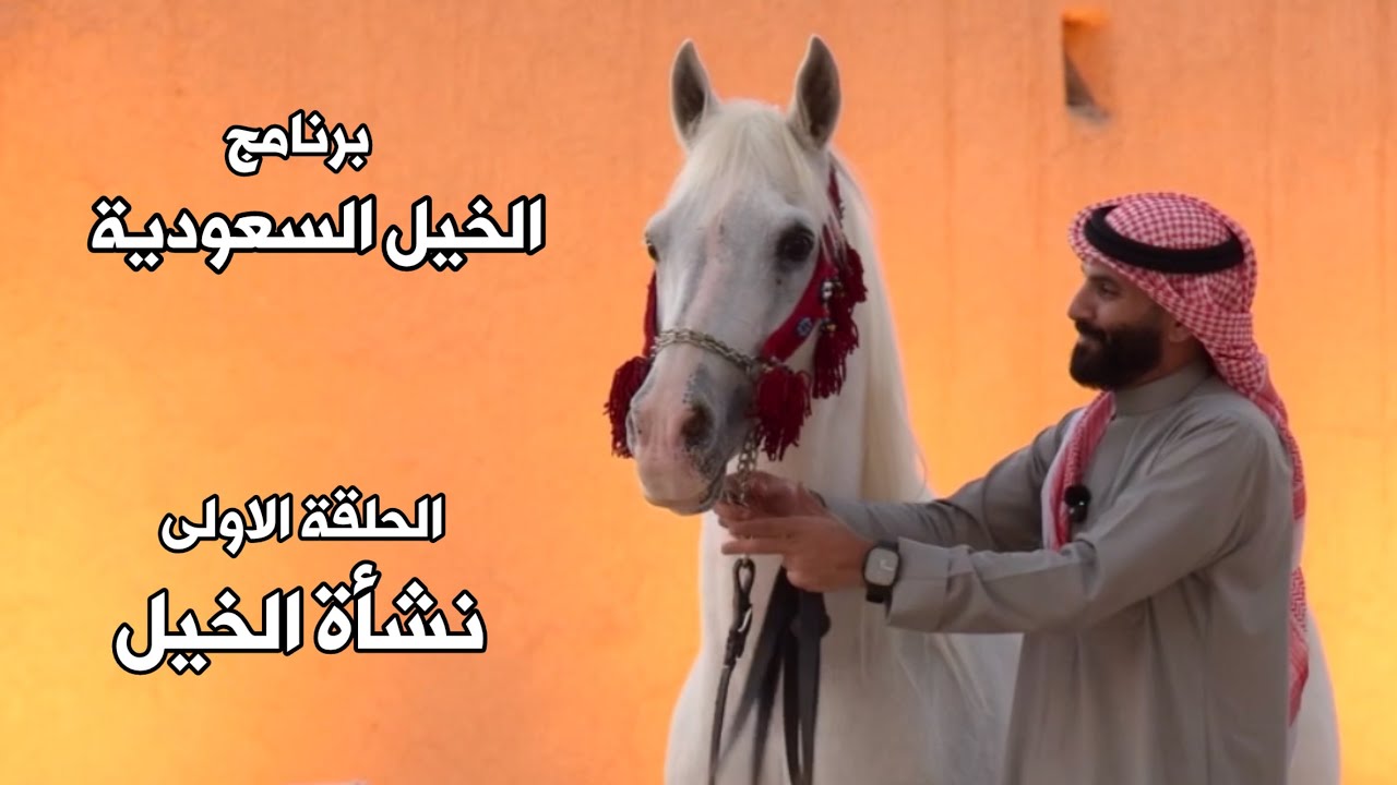 برنامج الخيل السعودية | الحلقة الاولى | نشأة الخيل | اعداد واخراج حمد اللاحم