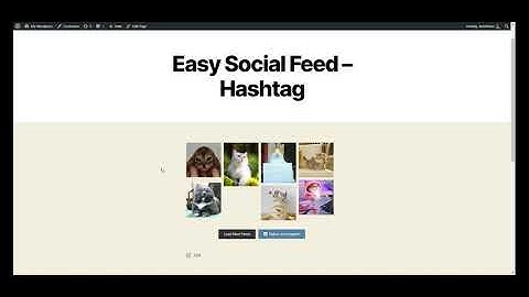 How to display Instagram Hashtag Feed on WordPress site
