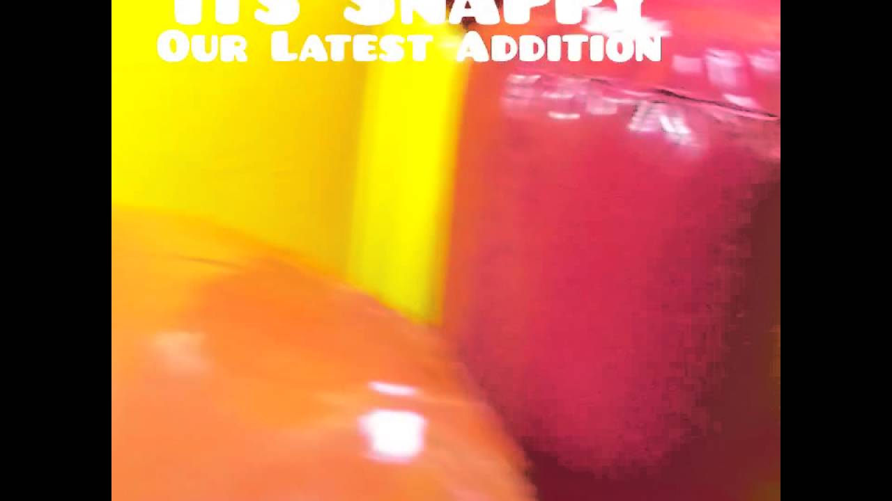 Snappy the hungry crocodile available for hire at Mascot Madness Entertainment