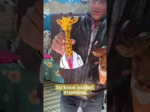 Gift items Murti Manufacturer in Meerut | Wholesale Business Supplier Delhi Meerut 9759998185